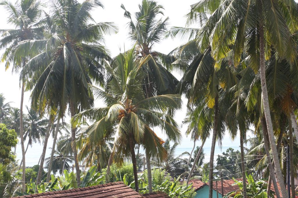 Mount Garden Guesthouse Banduramulla Exterior photo